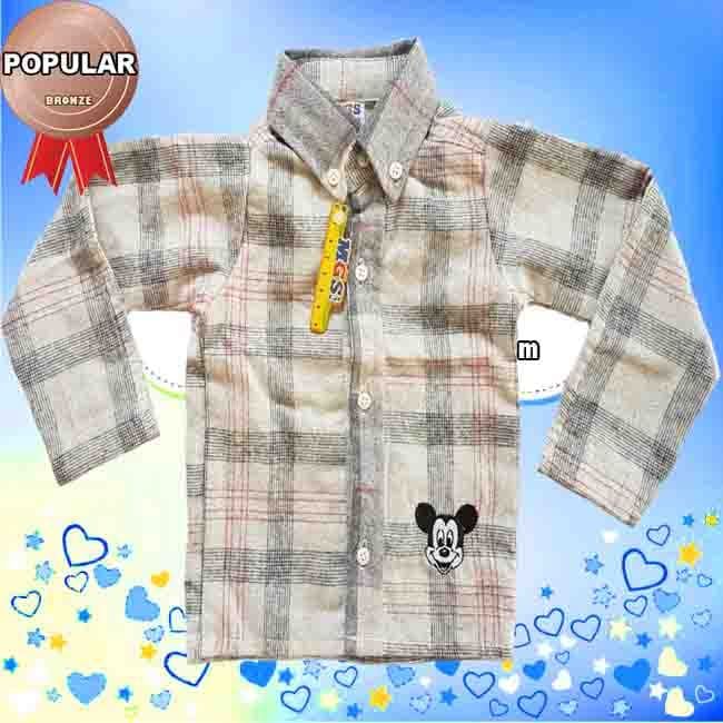 Camisa Infantil Social Manga Longa RN