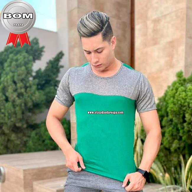 Camisa Dryfit Fitness Masculina