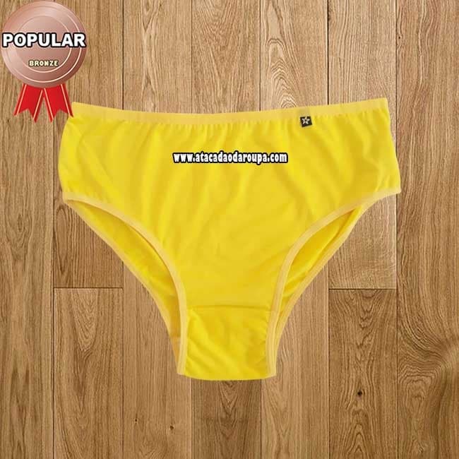Calcinha Microfibra Lisas ou Estampadas