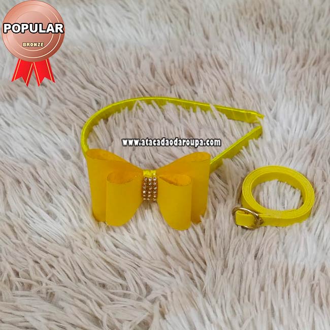 Tiaras Infantil com Cinto 2 a 5 Anos